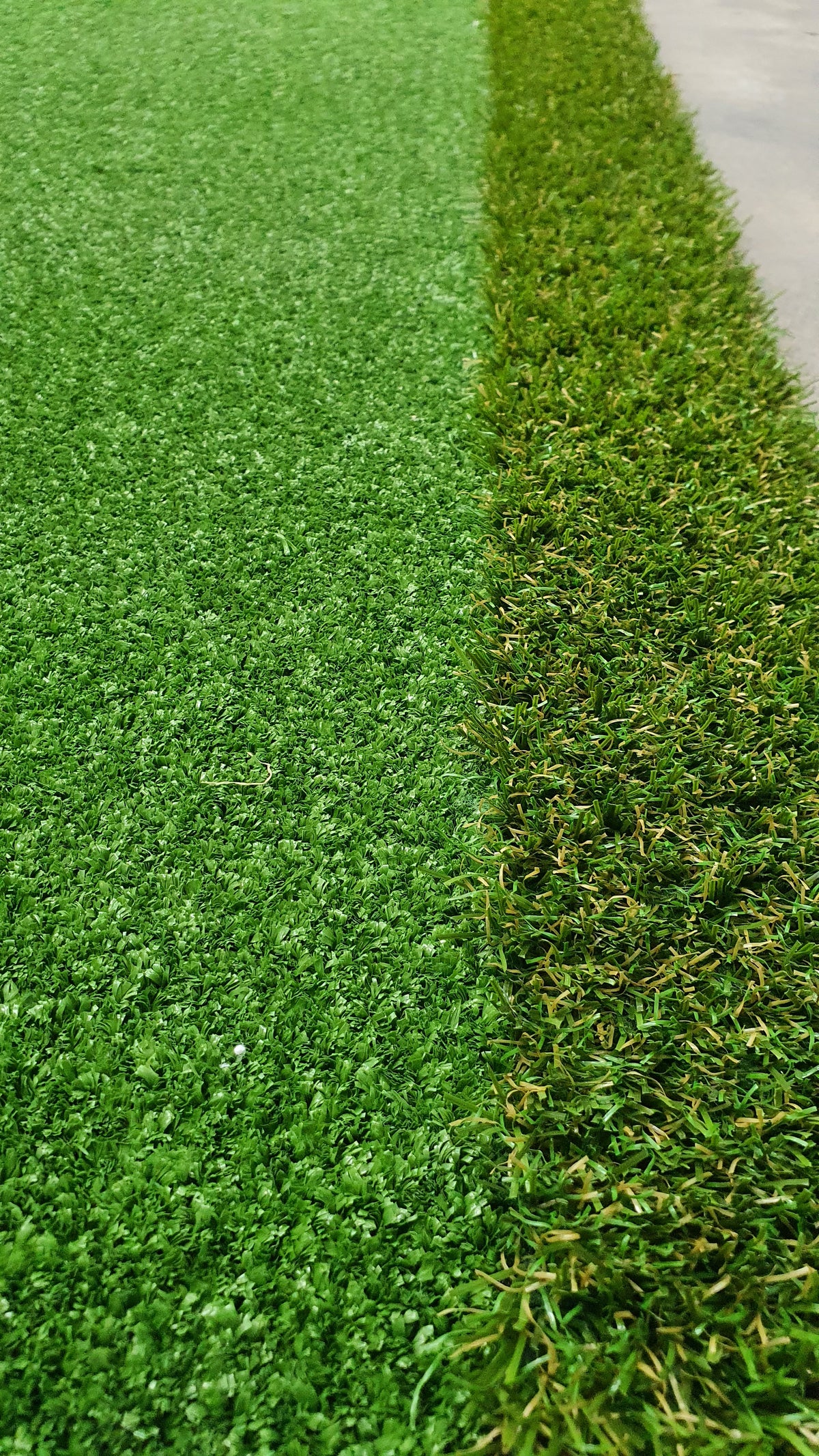 Putting Green Mat