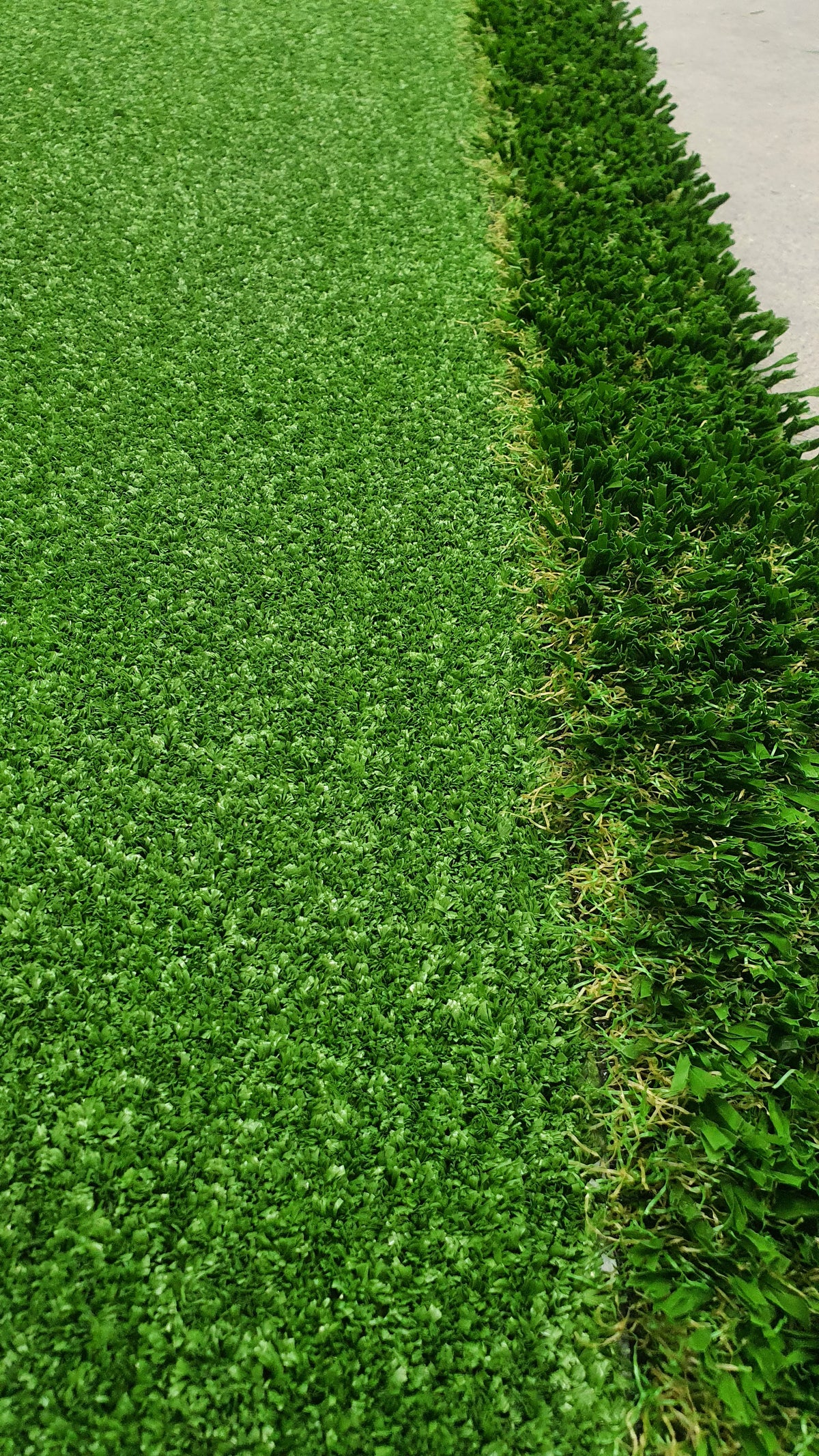 Putting Green Mat