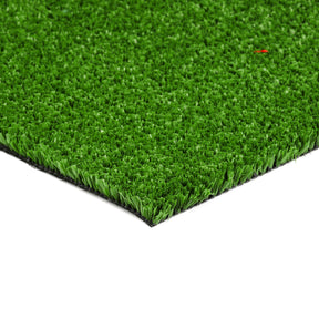Urban Backyard Cricket - SPECIAL: 11.84 M2